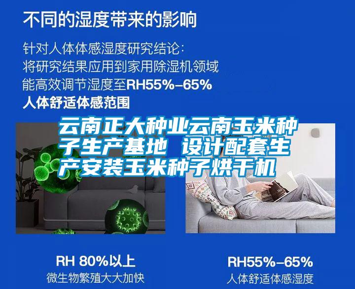 云南正大種業(yè)云南玉米種子生產(chǎn)基地 設(shè)計配套生產(chǎn)安裝玉米種子烘干機