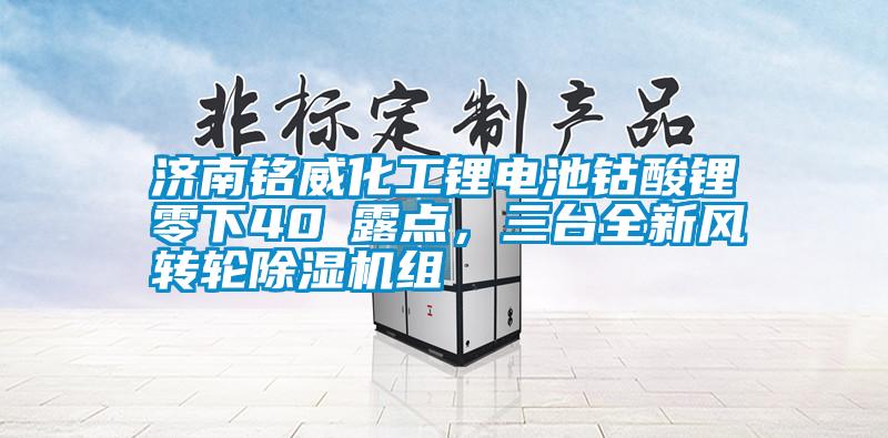 濟南銘威化工鋰電池鈷酸鋰零下40℃露點，三臺全新風轉輪除濕機組