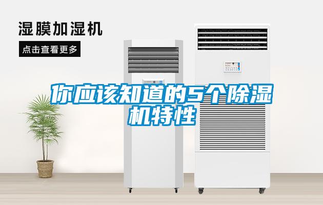 你應(yīng)該知道的5個除濕機(jī)特性