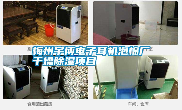 梅州宇博電子耳機(jī)泡棉廠干燥除濕項目