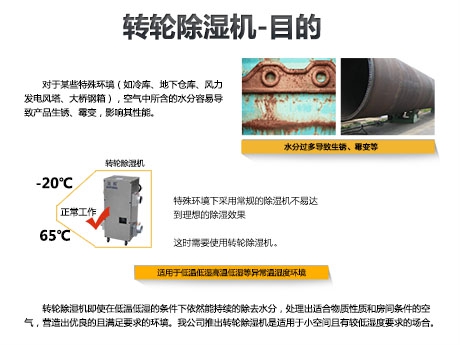 貓糧防潮秘籍，貓糧如何儲存