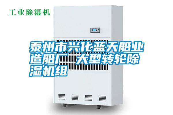 泰州市興化藍天船業造船廠 大型轉輪除濕機組
