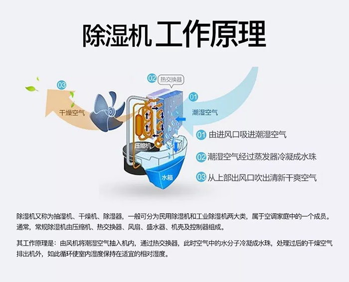 潮濕天氣狗最容易患上這種毛病！三個(gè)注意事項(xiàng)，鏟屎官一定要看看