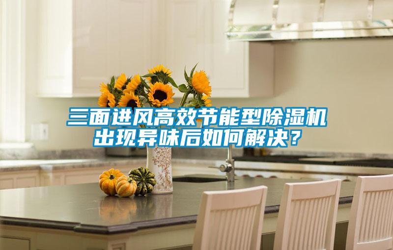 三面進(jìn)風(fēng)高效節(jié)能型除濕機(jī)出現(xiàn)異味后如何解決？