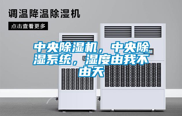 中央除濕機，中央除濕系統，濕度由我不由天