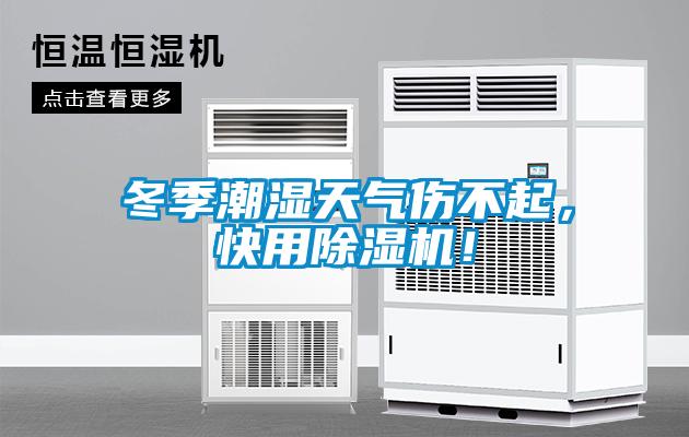 冬季潮濕天氣傷不起，快用除濕機！