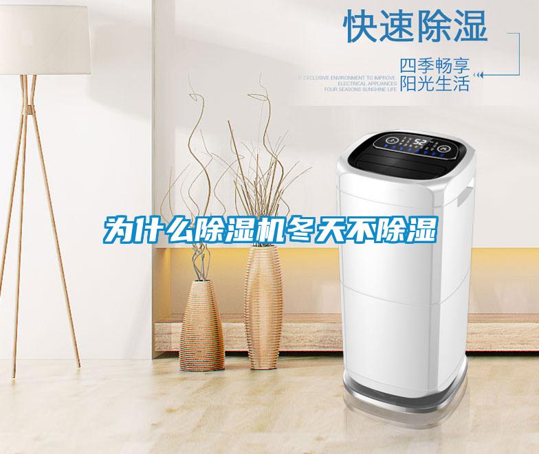 為什么除濕機冬天不除濕