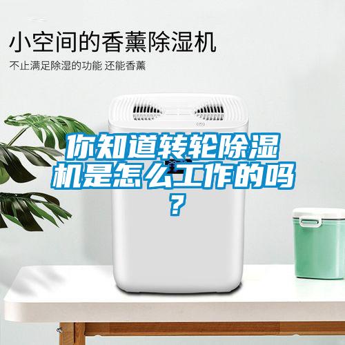 你知道轉輪除濕機是怎么工作的嗎？