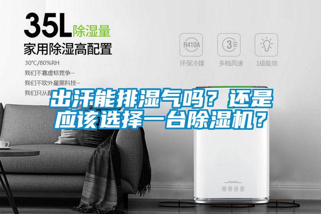出汗能排濕氣嗎？還是應(yīng)該選擇一臺除濕機？