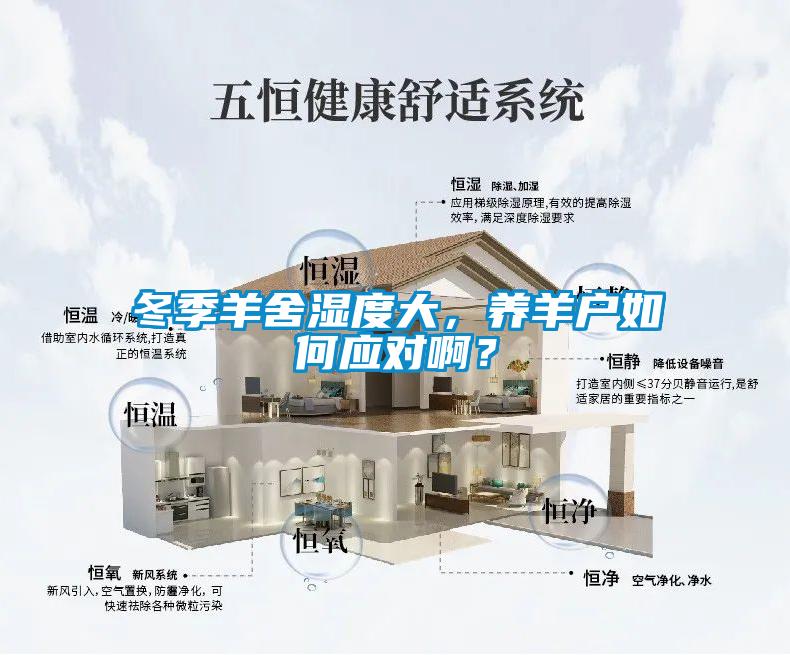 冬季羊舍濕度大，養(yǎng)羊戶如何應(yīng)對(duì)啊？