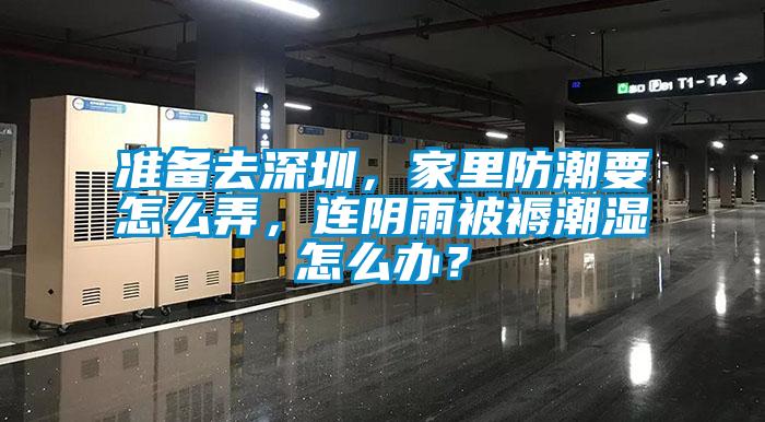 準備去深圳，家里防潮要怎么弄，連陰雨被褥潮濕怎么辦？