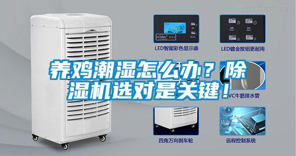 養雞潮濕怎么辦？除濕機選對是關鍵！