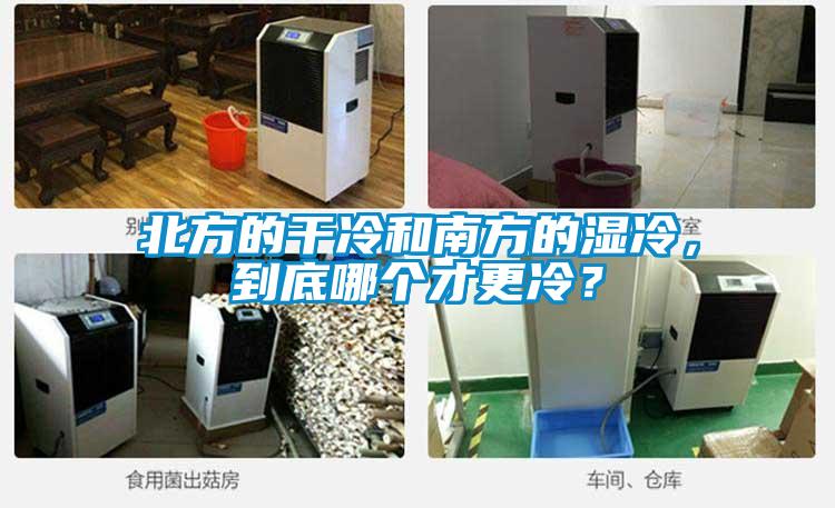 北方的干冷和南方的濕冷，到底哪個才更冷？