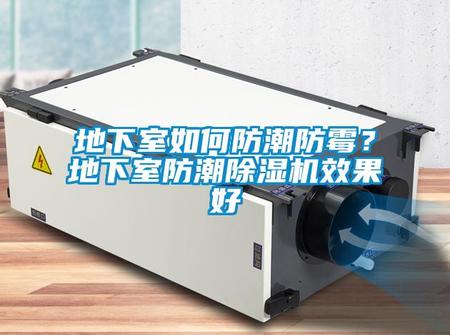 地下室如何防潮防霉？地下室防潮除濕機效果好