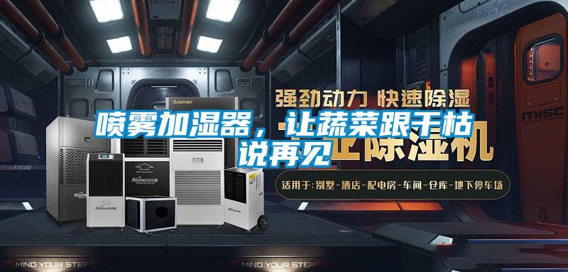 噴霧加濕器，讓蔬菜跟干枯說再見