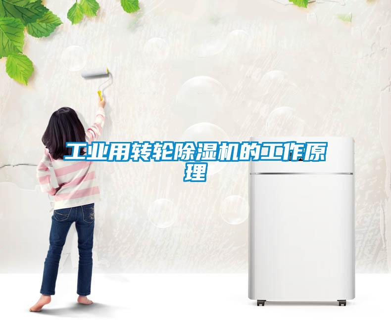 工業用轉輪除濕機的工作原理