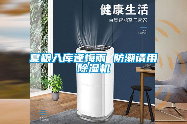 夏糧入庫逢梅雨 防潮請用除濕機