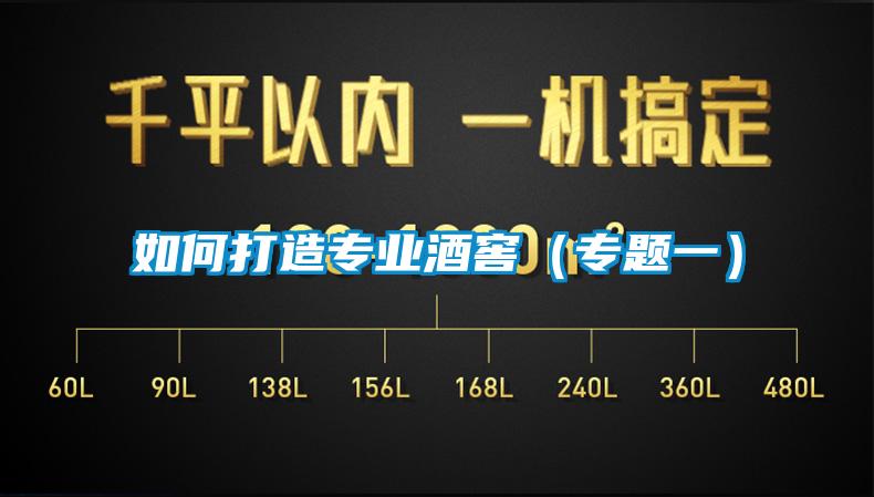 如何打造專(zhuān)業(yè)酒窖（專(zhuān)題一）