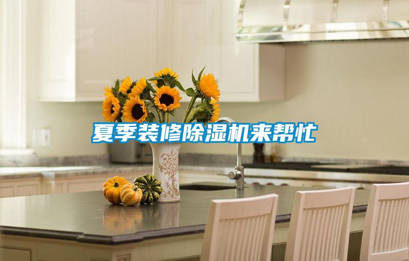 夏季裝修除濕機(jī)來幫忙