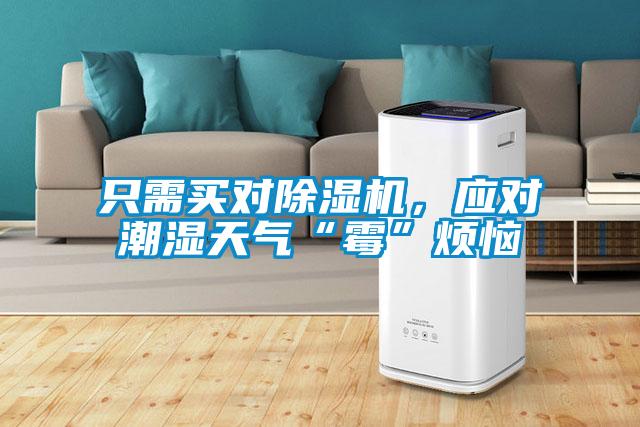 只需買對除濕機(jī)，應(yīng)對潮濕天氣“霉”煩惱