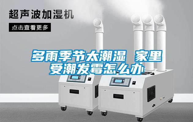 多雨季節太潮濕 家里受潮發霉怎么辦