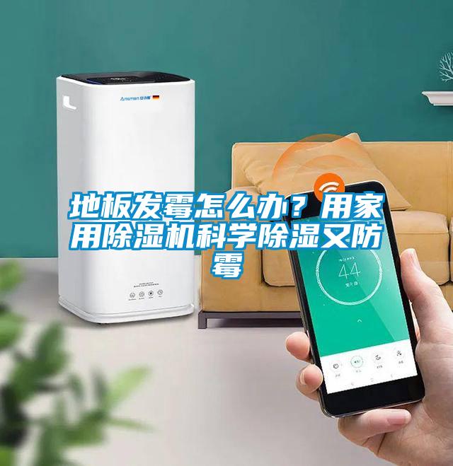 地板發霉怎么辦？用家用除濕機科學除濕又防霉