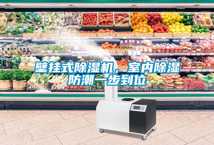 壁掛式除濕機，室內(nèi)除濕防潮一步到位