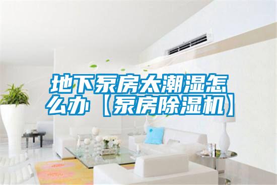 地下泵房太潮濕怎么辦【泵房除濕機】