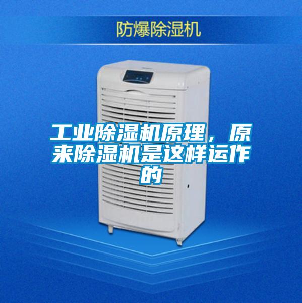 工業除濕機原理，原來除濕機是這樣運作的