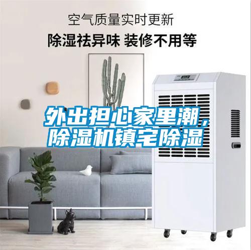 外出擔心家里潮，除濕機鎮宅除濕