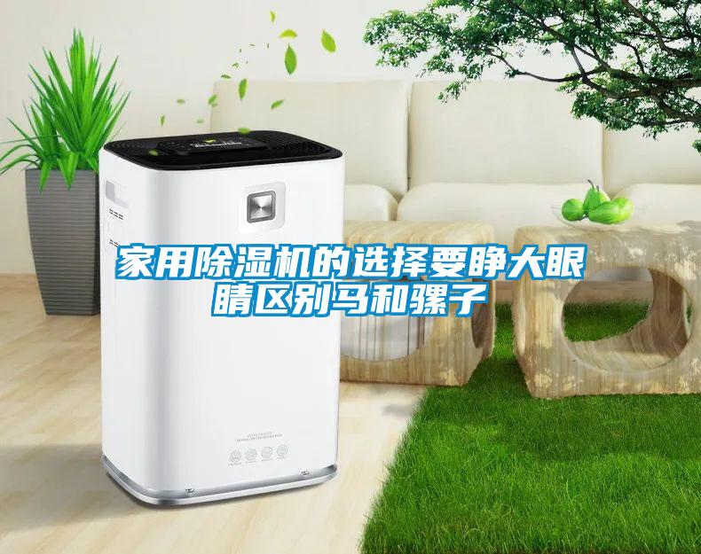 家用除濕機的選擇要睜大眼睛區別馬和騾子