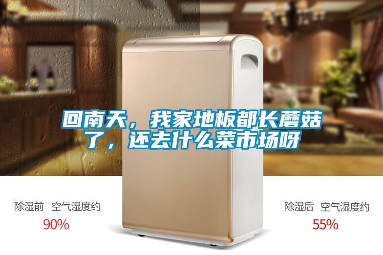 回南天，我家地板都長蘑菇了，還去什么菜市場呀