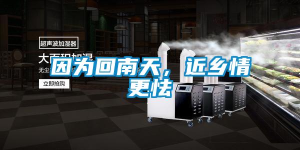 因?yàn)榛啬咸欤l(xiāng)情更怯