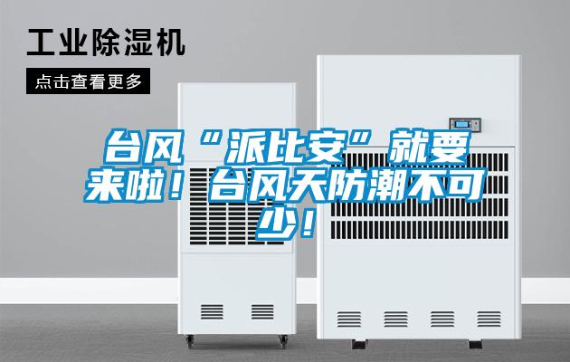 臺風“派比安”就要來啦！臺風天防潮不可少！
