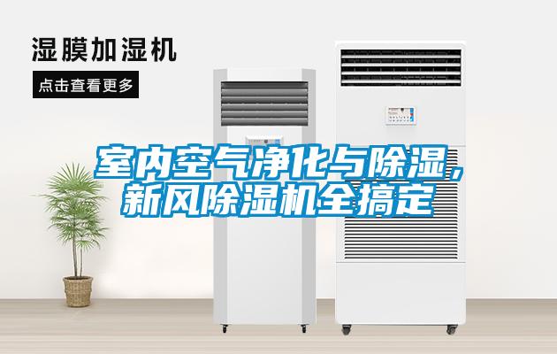 室內(nèi)空氣凈化與除濕，新風(fēng)除濕機(jī)全搞定