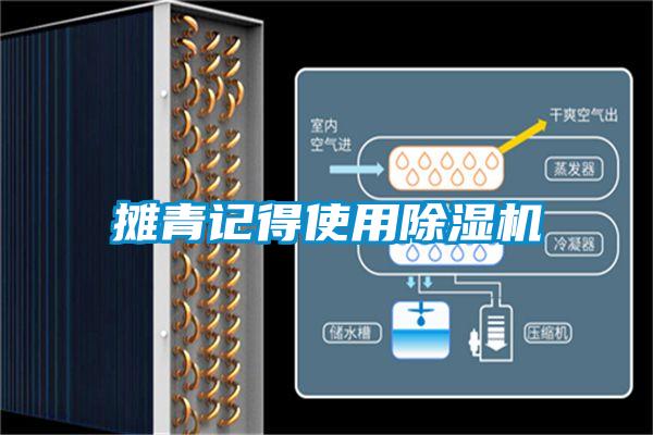 攤青記得使用除濕機