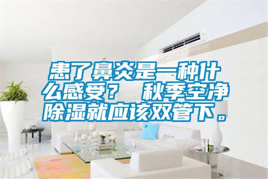 患了鼻炎是一種什么感受？ 秋季空凈除濕就應(yīng)該雙管下。