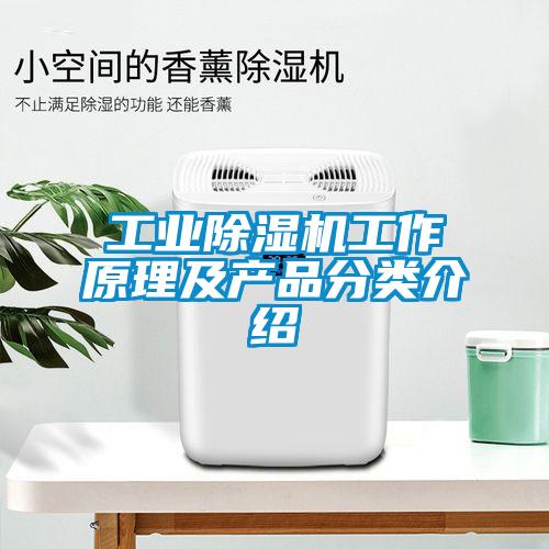 工業除濕機工作原理及產品分類介紹