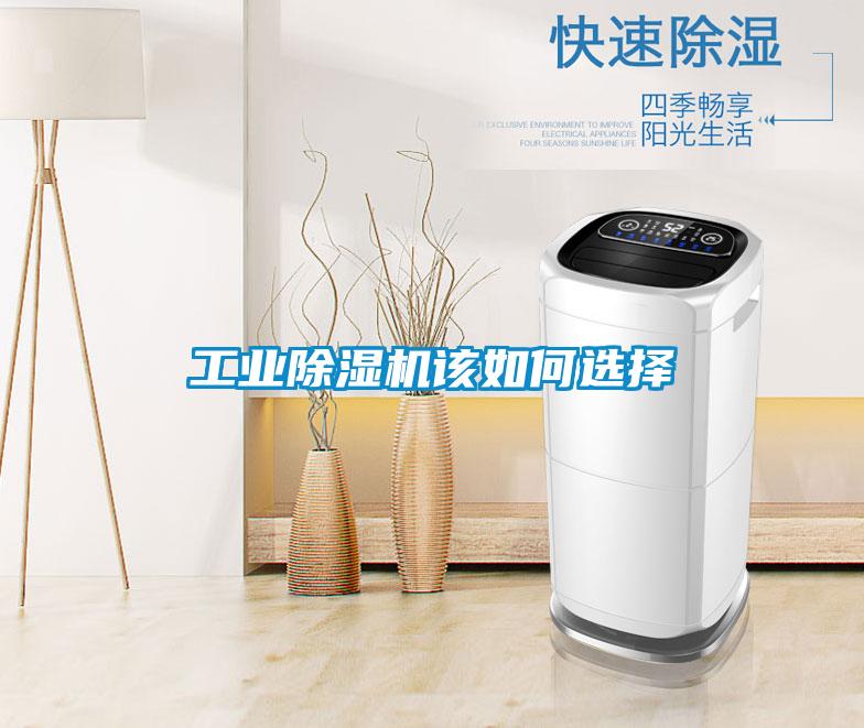 工業除濕機該如何選擇