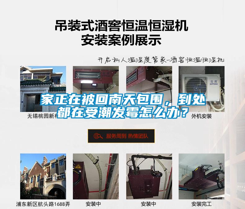 家正在被回南天包圍，到處都在受潮發霉怎么辦？