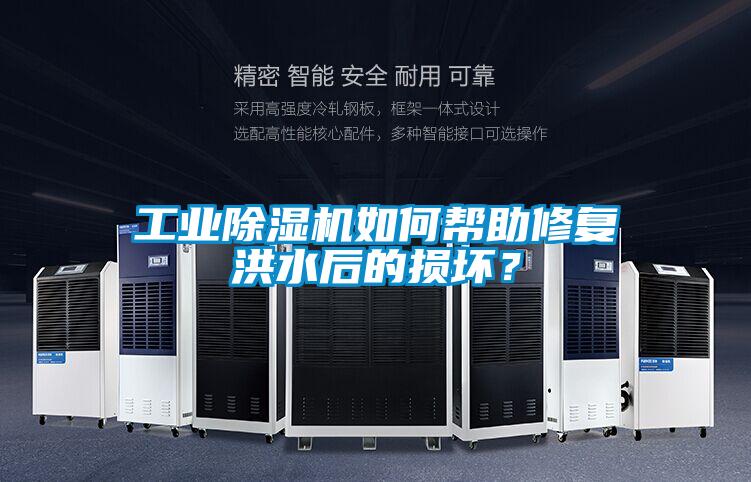 工業除濕機如何幫助修復洪水后的損壞？