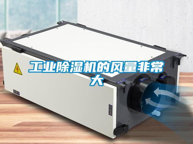 工業(yè)除濕機(jī)的風(fēng)量非常大