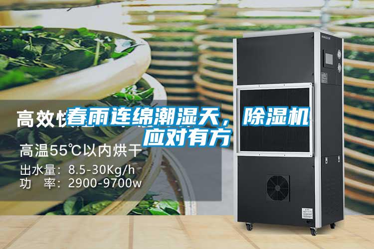 春雨連綿潮濕天，除濕機應對有方