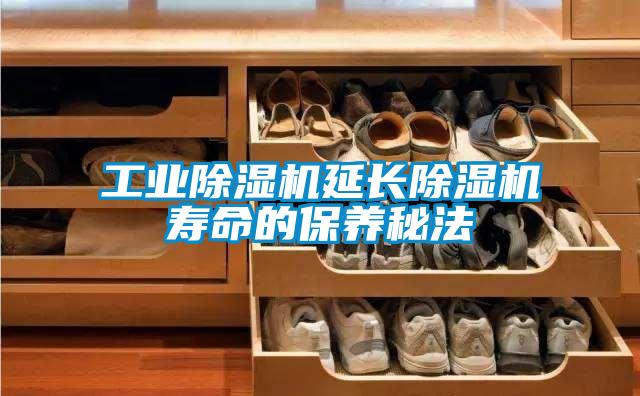 工業(yè)除濕機延長除濕機壽命的保養(yǎng)秘法