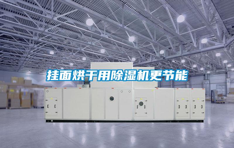 掛面烘干用除濕機更節(jié)能