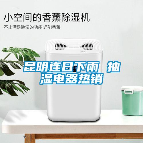 昆明連日下雨 抽濕電器熱銷(xiāo)