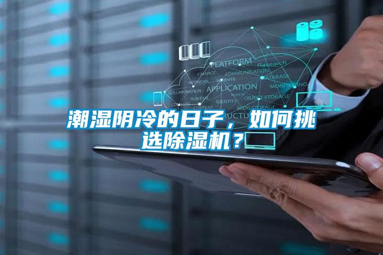 潮濕陰冷的日子，如何挑選除濕機？