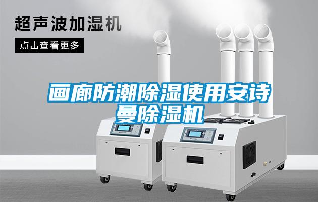 畫廊防潮除濕使用安詩曼除濕機