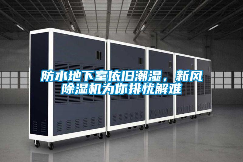 防水地下室依舊潮濕，新風除濕機為你排憂解難