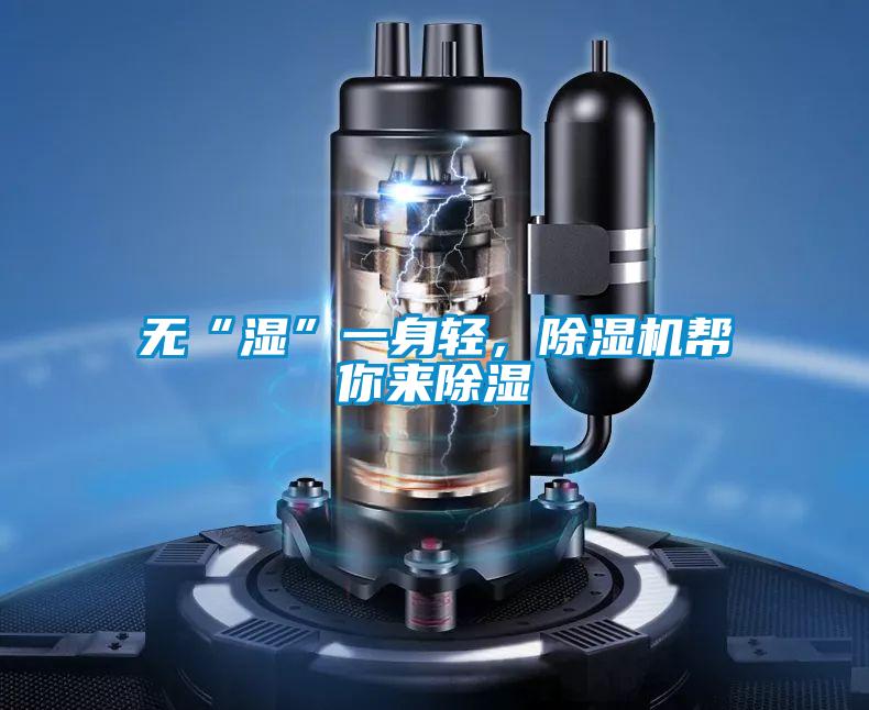 無“濕”一身輕，除濕機幫你來除濕